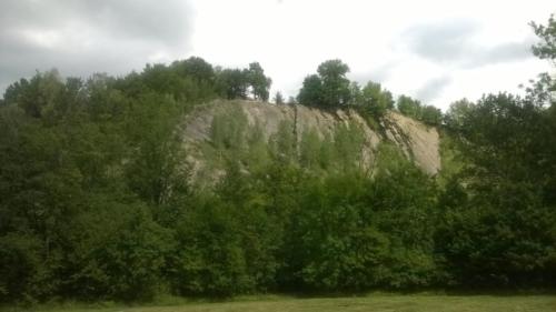 Rzeka Wisłok